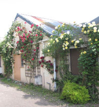 Picture of The Violin Workshop