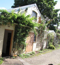 Picture of The Violin Workshop